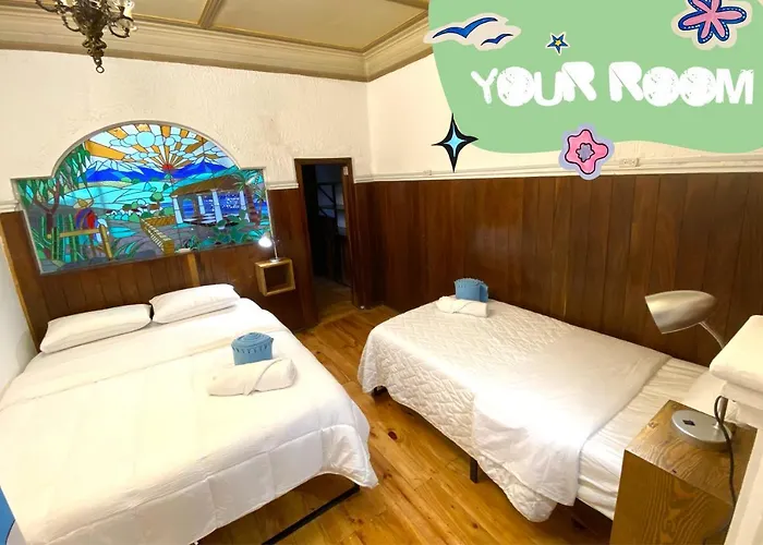 Casa Fungi Mexico
