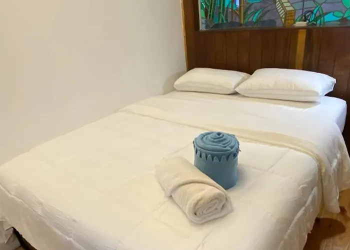 Casa Fungi México DF
